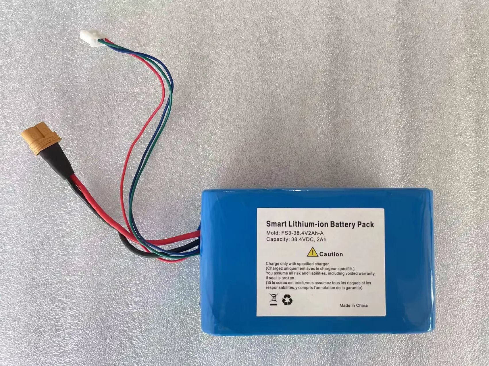 Warrior 38.4V 2Ah